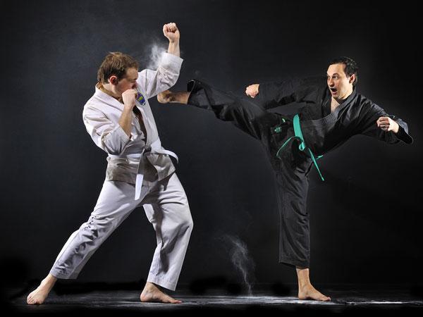 Karate techniques