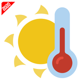 Room Temperature Thermometer - Meter