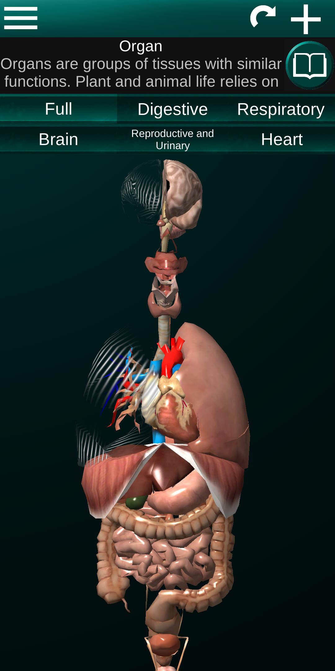 internal organs in 3d anatomy mestore 앱
