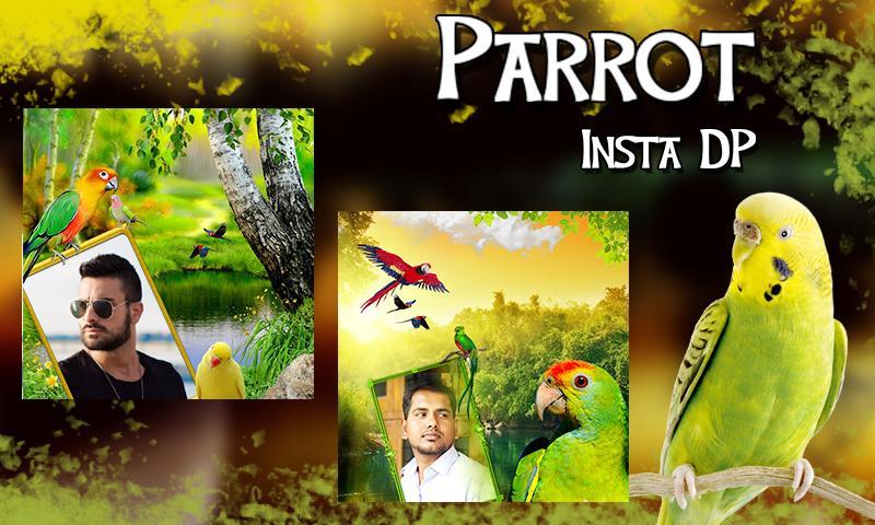 Parrot Insta DP Maker – Love Birds