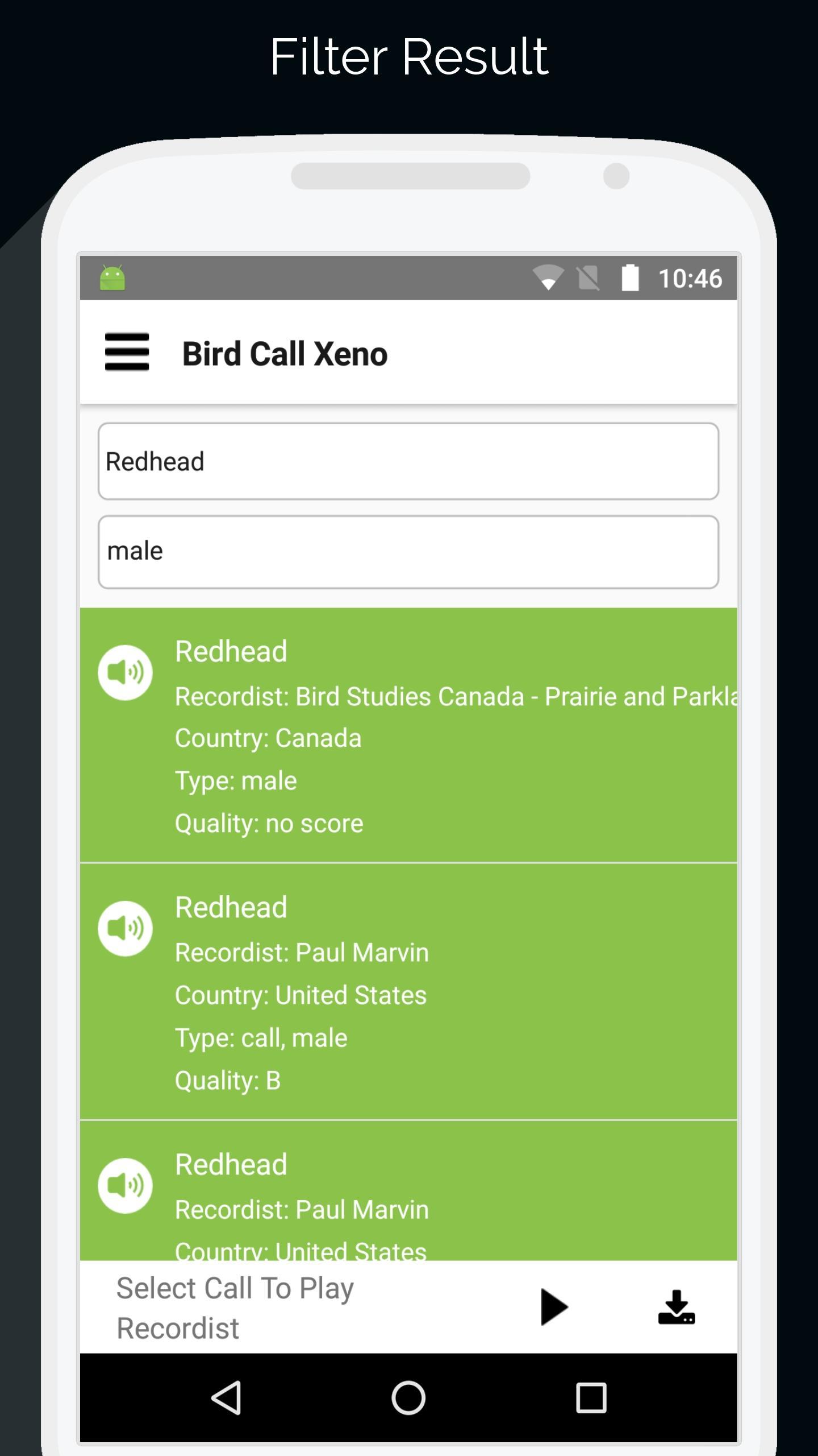 Bird Calls Xeno