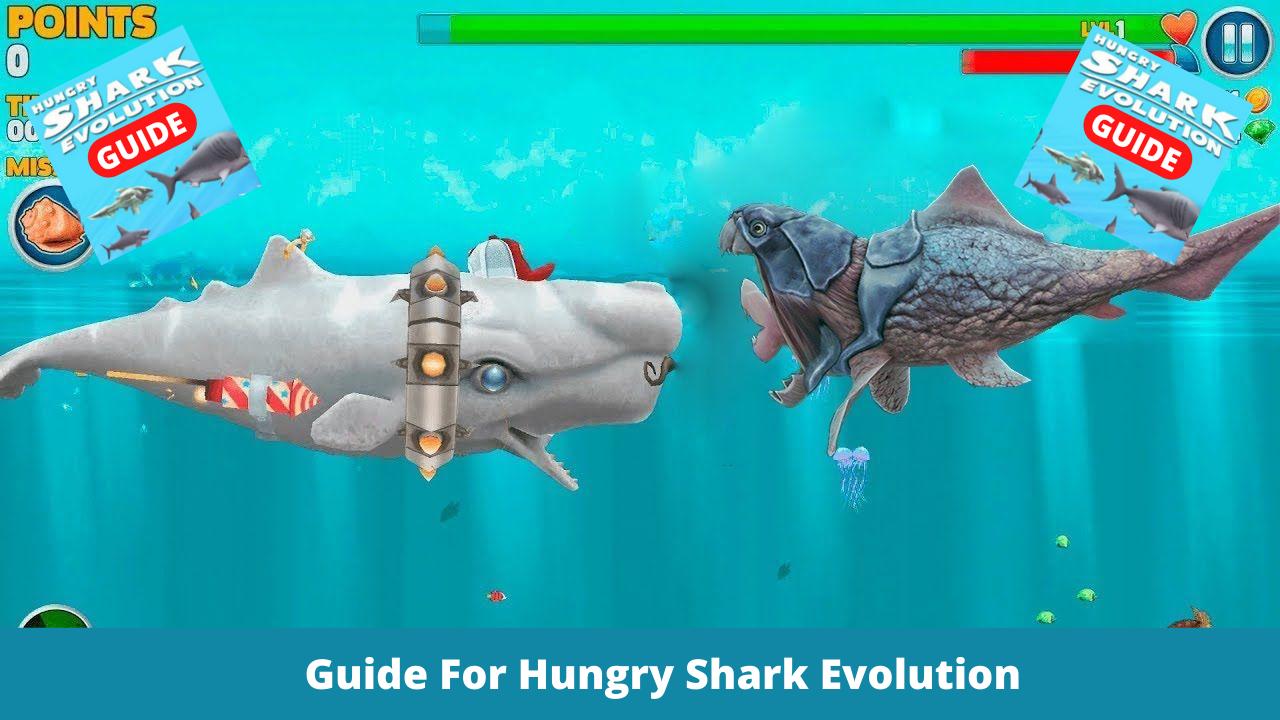Guide For Hungry Shark Evolution Tips 2021