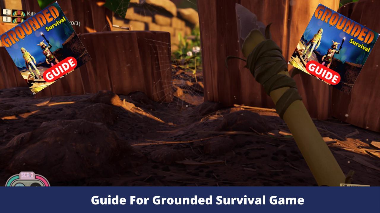 Guide For Grounded Survival Game Tips