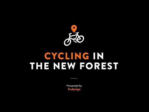 Cycling in the New Forest