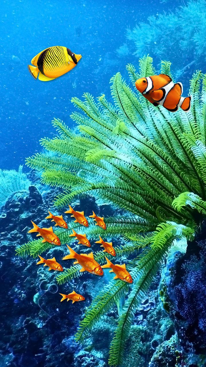 ????????Aquarium Home Screen